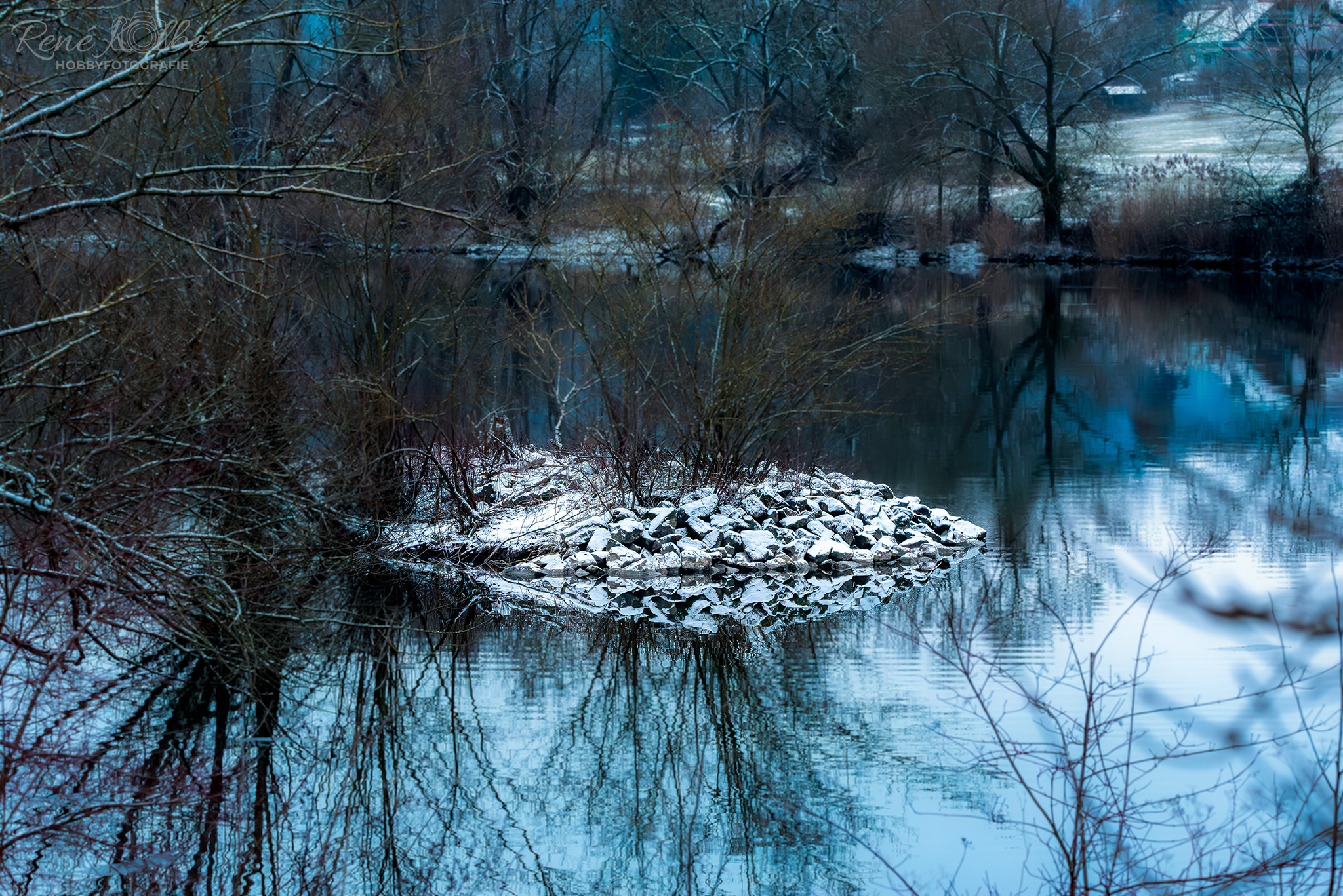Winter am Main
